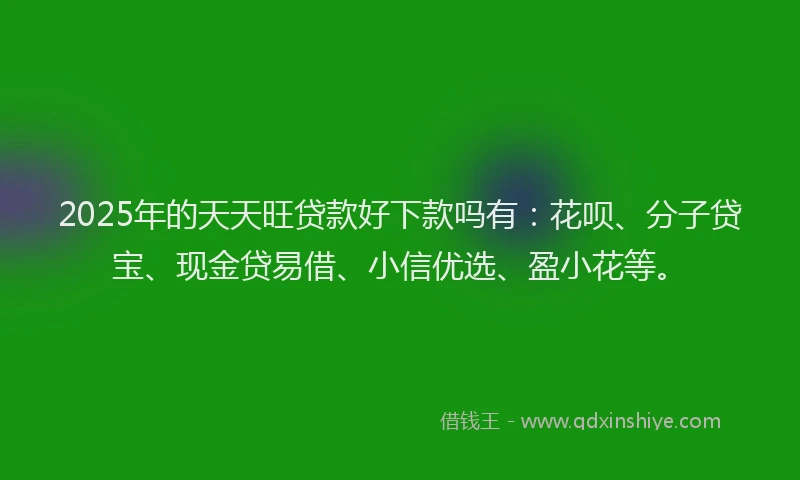 2025年的天天旺贷款好下款吗有：花呗、分子贷宝、现金贷易借、小信优选、盈小花等。