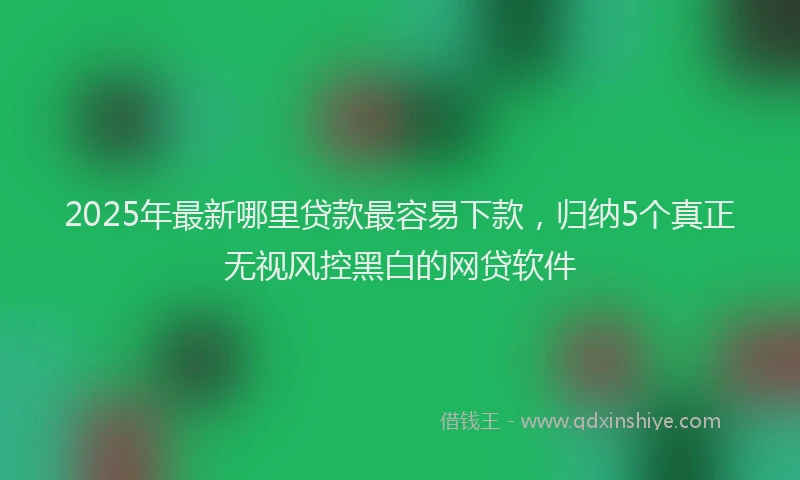 2025年最新哪里贷款最容易下款，归纳5个真正无视风控黑白的网贷软件
