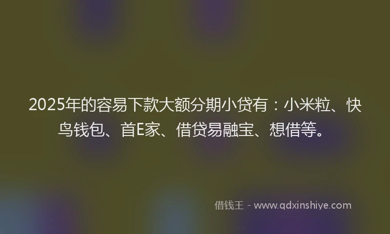 2025年的容易下款大额分期小贷有：小米粒、快鸟钱包、首E家、借贷易融宝、想借等。