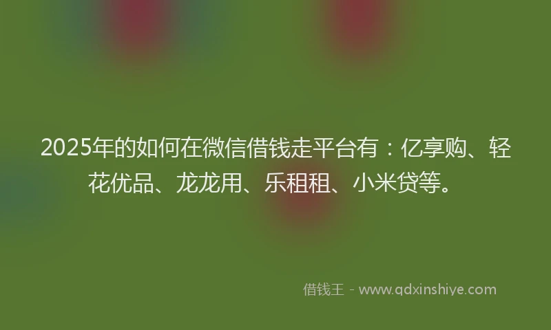 2025年的如何在微信借钱走平台有：亿享购、轻花优品、龙龙用、乐租租、小米贷等。