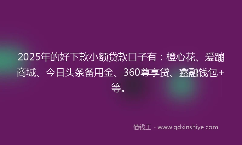 2025年的好下款小额贷款口子有：橙心花、爱蹦商城、今日头条备用金、360尊享贷、鑫融钱包+等。