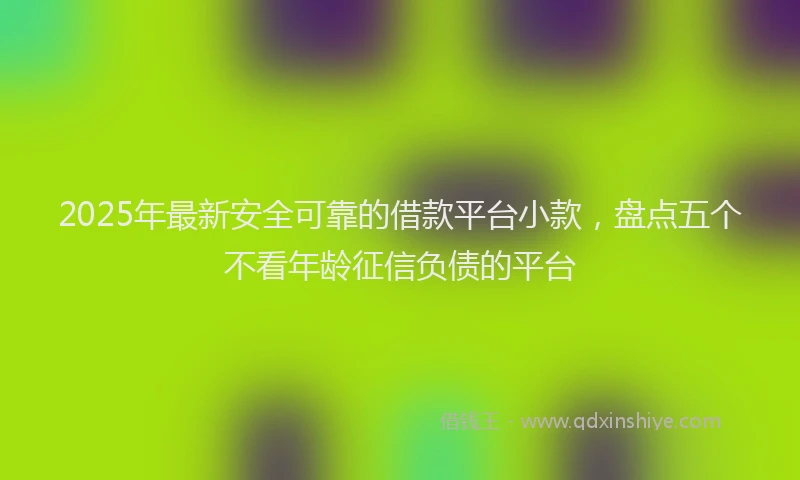 2025年最新安全可靠的借款平台小款，盘点五个不看年龄征信负债的平台