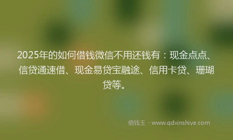 2025年的如何借钱微信不用还钱有：现金点点、信贷通速借、现金易贷宝融途、信用卡贷、珊瑚贷等。