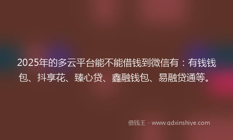 2025年的多云平台能不能借钱到微信有：有钱钱包、抖享花、臻心贷、鑫融钱包、易融贷通等。