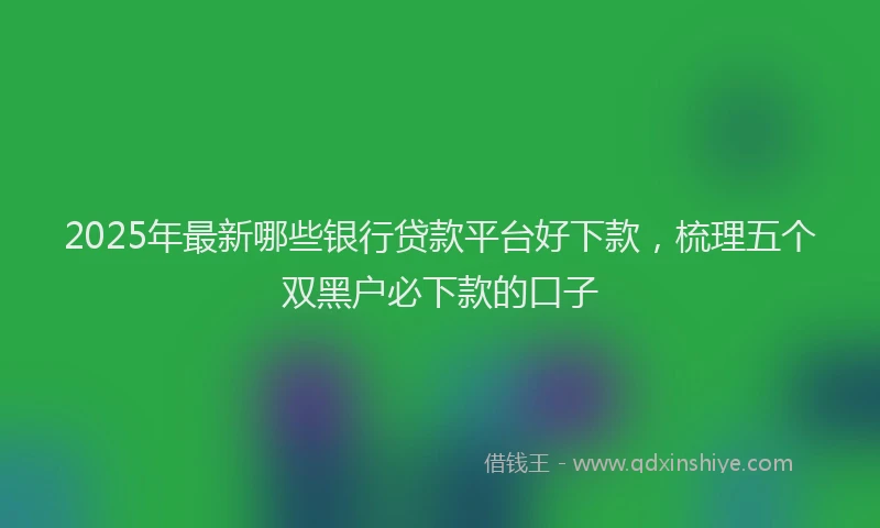2025年最新哪些银行贷款平台好下款，梳理五个双黑户必下款的口子