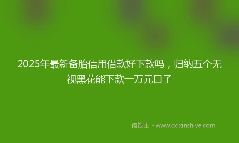 2025年最新备胎信用借款好下款吗，归纳五个无视黑花能下款一万元口子