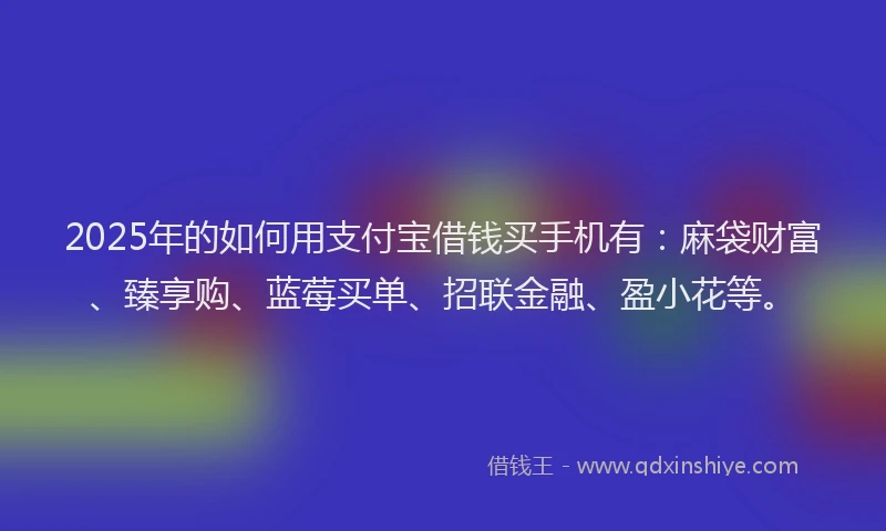 2025年的如何用支付宝借钱买手机有：麻袋财富、臻享购、蓝莓买单、招联金融、盈小花等。
