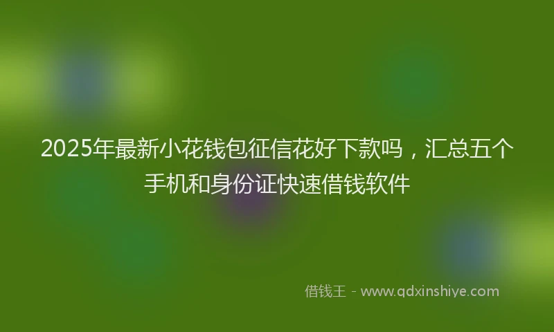 2025年最新小花钱包征信花好下款吗，汇总五个手机和身份证快速借钱软件