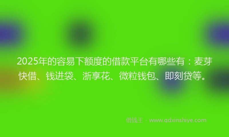 2025年的容易下额度的借款平台有哪些有：麦芽快借、钱进袋、浙享花、微粒钱包、即刻贷等。
