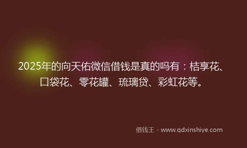 2025年的向天佑微信借钱是真的吗有：桔享花、口袋花、零花罐、琉璃贷、彩虹花等。