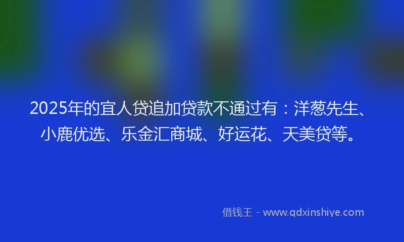 2025年的宜人贷追加贷款不通过有：洋葱先生、小鹿优选、乐金汇商城、好运花、天美贷等。