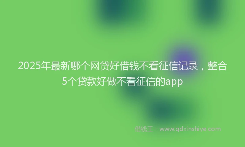 2025年最新哪个网贷好借钱不看征信记录，整合5个贷款好做不看征信的app