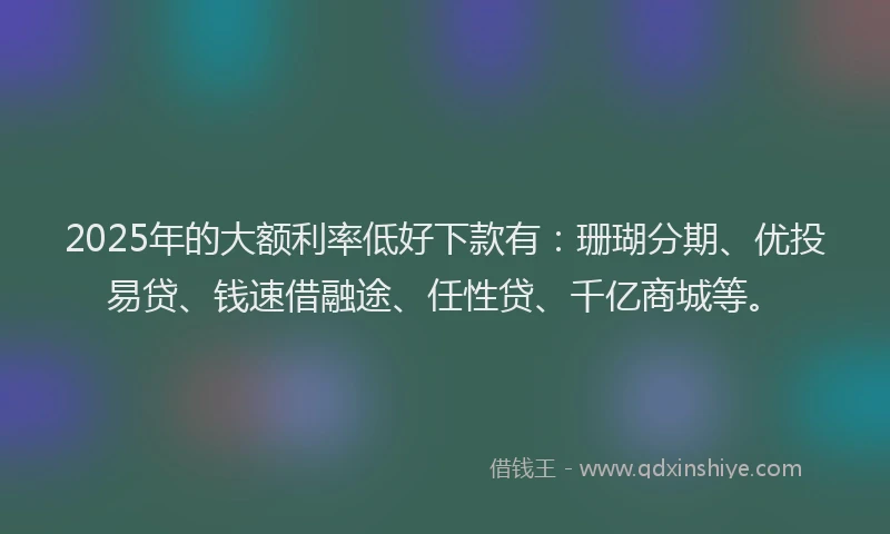 2025年的大额利率低好下款有：珊瑚分期、优投易贷、钱速借融途、任性贷、千亿商城等。