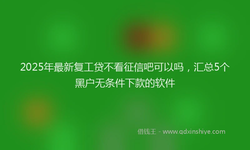 2025年最新复工贷不看征信吧可以吗，汇总5个黑户无条件下款的软件