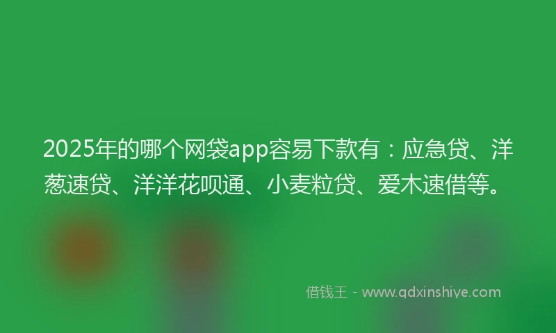 2025年的哪个网袋app容易下款有：应急贷、洋葱速贷、洋洋花呗通、小麦粒贷、爱木速借等。