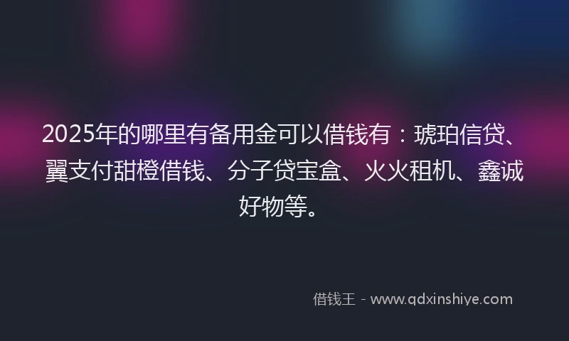 2025年的哪里有备用金可以借钱有：琥珀信贷、翼支付甜橙借钱、分子贷宝盒、火火租机、鑫诚好物等。