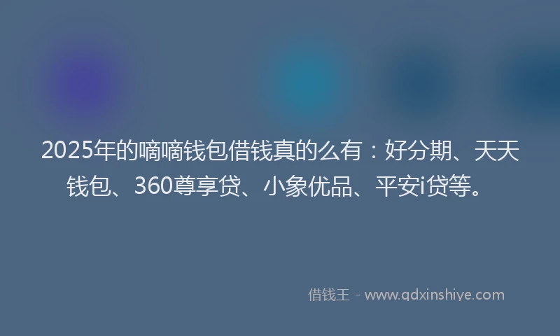 2025年的嘀嘀钱包借钱真的么有：好分期、天天钱包、360尊享贷、小象优品、平安i贷等。