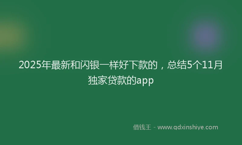 2025年最新和闪银一样好下款的，总结5个11月独家贷款的app