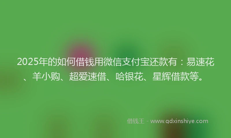 2025年的如何借钱用微信支付宝还款有：易速花、羊小购、超爱速借、哈银花、星辉借款等。
