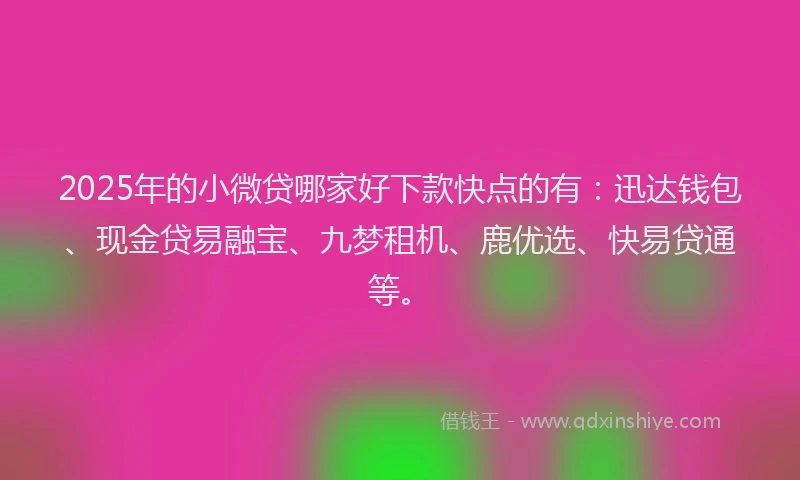 2025年的小微贷哪家好下款快点的有：迅达钱包、现金贷易融宝、九梦租机、鹿优选、快易贷通等。