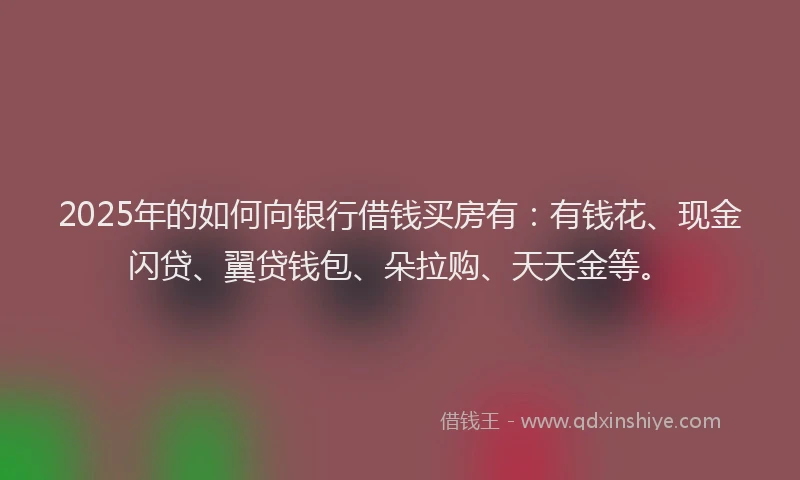 2025年的如何向银行借钱买房有：有钱花、现金闪贷、翼贷钱包、朵拉购、天天金等。