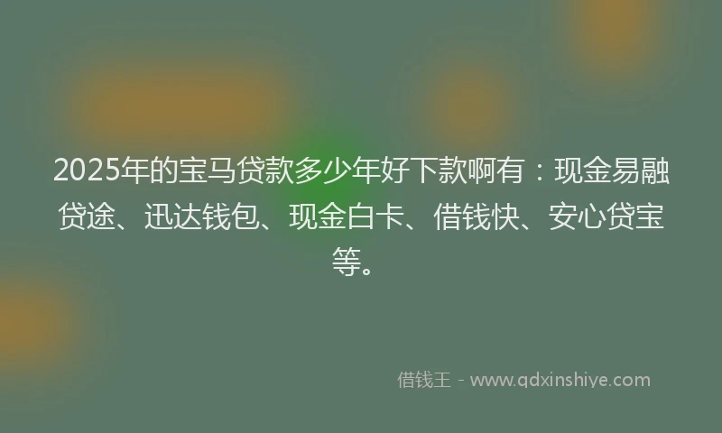 2025年的宝马贷款多少年好下款啊有：现金易融贷途、迅达钱包、现金白卡、借钱快、安心贷宝等。