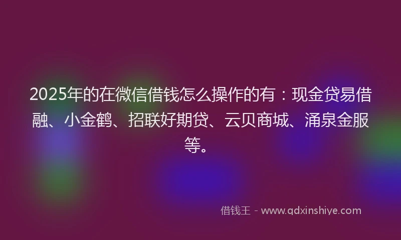 2025年的在微信借钱怎么操作的有：现金贷易借融、小金鹤、招联好期贷、云贝商城、涌泉金服等。