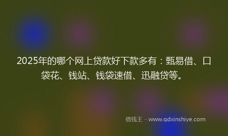 2025年的哪个网上贷款好下款多有：甄易借、口袋花、钱站、钱袋速借、迅融贷等。