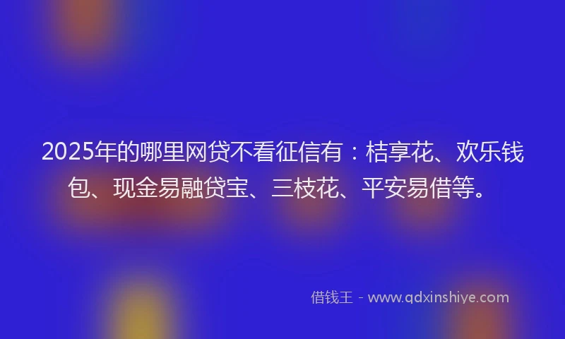 2025年的哪里网贷不看征信有：桔享花、欢乐钱包、现金易融贷宝、三枝花、平安易借等。