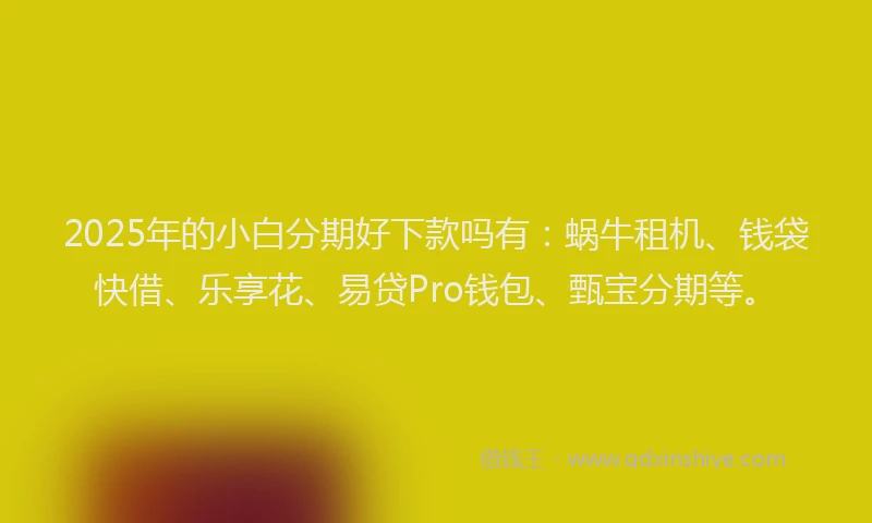 2025年的小白分期好下款吗有：蜗牛租机、钱袋快借、乐享花、易贷Pro钱包、甄宝分期等。