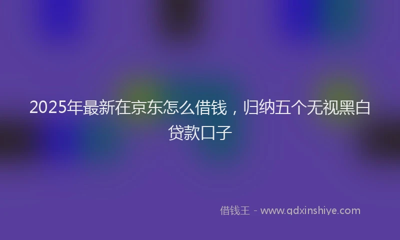 2025年最新在京东怎么借钱，归纳五个无视黑白贷款口子
