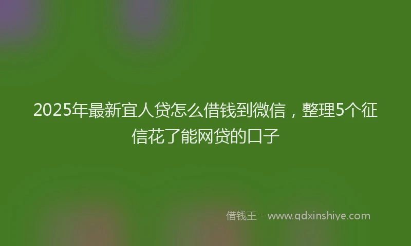 2025年最新宜人贷怎么借钱到微信，整理5个征信花了能网贷的口子