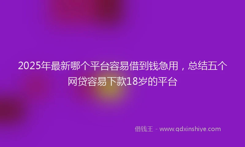 2025年最新哪个平台容易借到钱急用，总结五个网贷容易下款18岁的平台