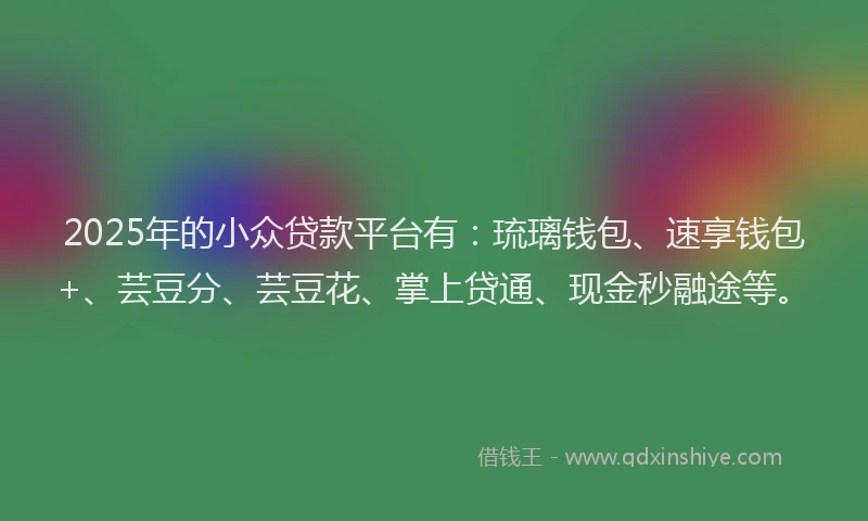 2025年的小众贷款平台有：琉璃钱包、速享钱包+、芸豆分、芸豆花、掌上贷通、现金秒融途等。