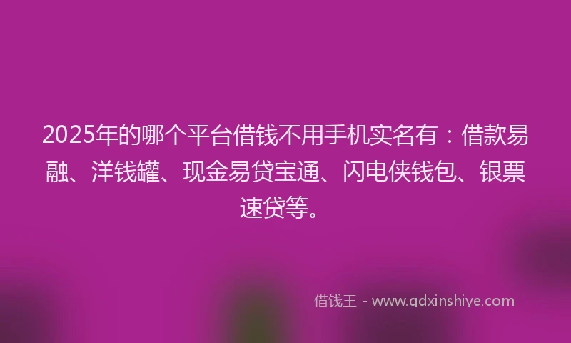 2025年的哪个平台借钱不用手机实名有：借款易融、洋钱罐、现金易贷宝通、闪电侠钱包、银票速贷等。