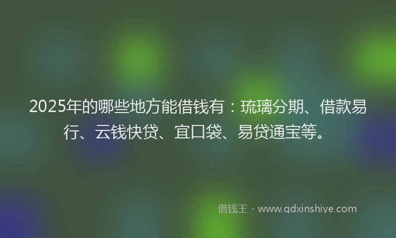 2025年的哪些地方能借钱有：琉璃分期、借款易行、云钱快贷、宜口袋、易贷通宝等。