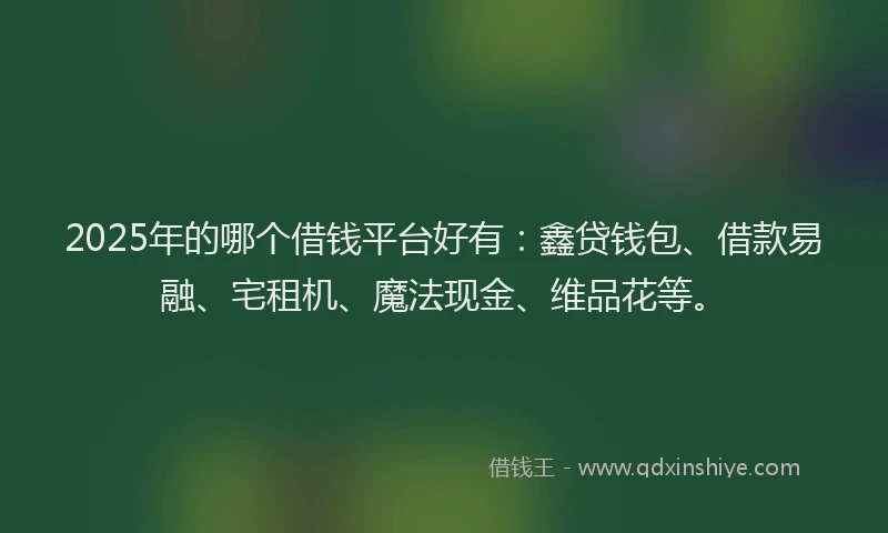 2025年的哪个借钱平台好有：鑫贷钱包、借款易融、宅租机、魔法现金、维品花等。