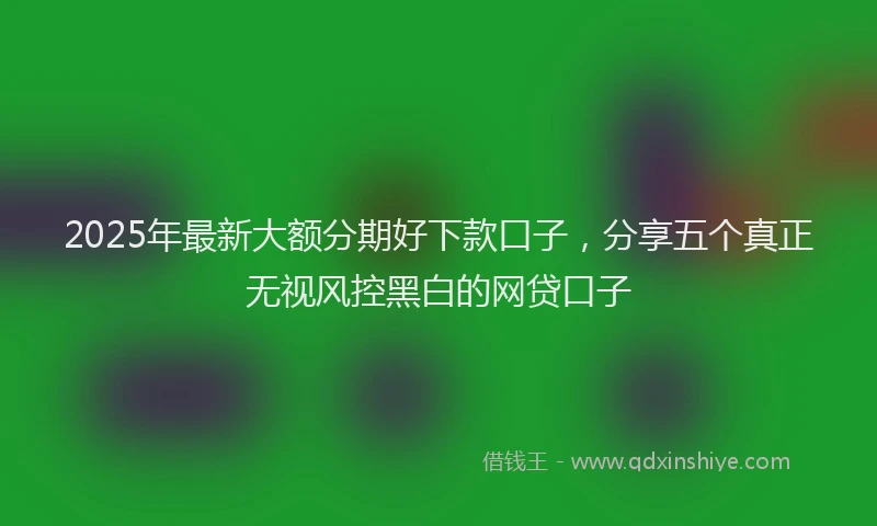 2025年最新大额分期好下款口子，分享五个真正无视风控黑白的网贷口子