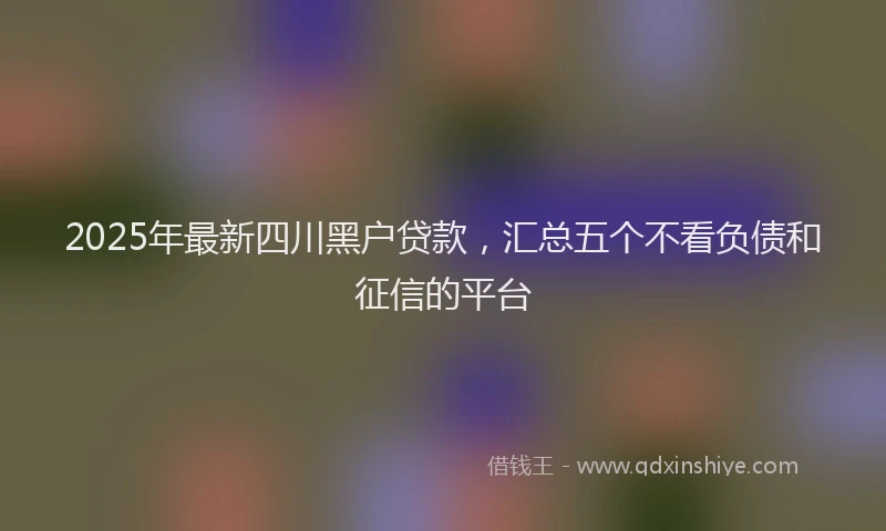 2025年最新四川黑户贷款，汇总五个不看负债和征信的平台