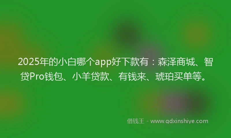 2025年的小白哪个app好下款有：森泽商城、智贷Pro钱包、小羊贷款、有钱来、琥珀买单等。