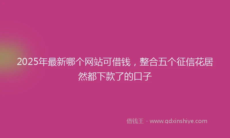 2025年最新哪个网站可借钱，整合五个征信花居然都下款了的口子
