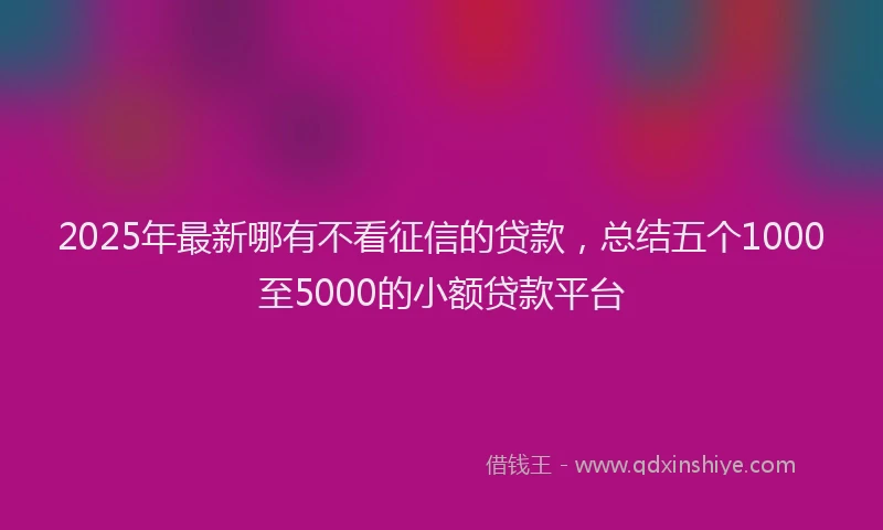 2025年最新哪有不看征信的贷款，总结五个1000至5000的小额贷款平台