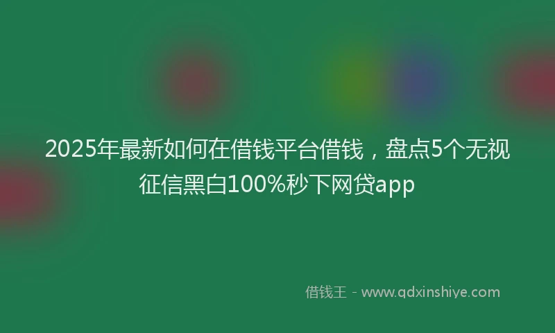 2025年最新如何在借钱平台借钱，盘点5个无视征信黑白100%秒下网贷app