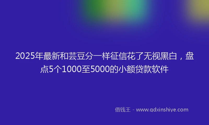2025年最新和芸豆分一样征信花了无视黑白，盘点5个1000至5000的小额贷款软件