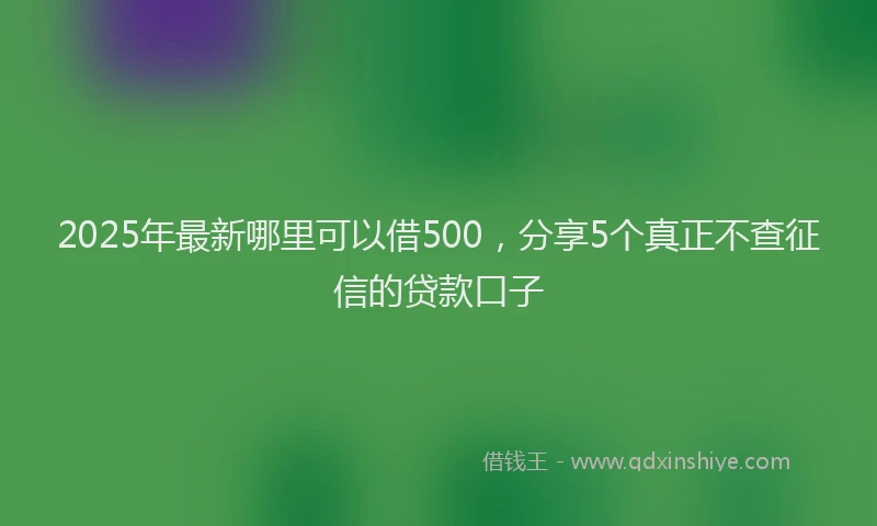 2025年最新哪里可以借500，分享5个真正不查征信的贷款口子