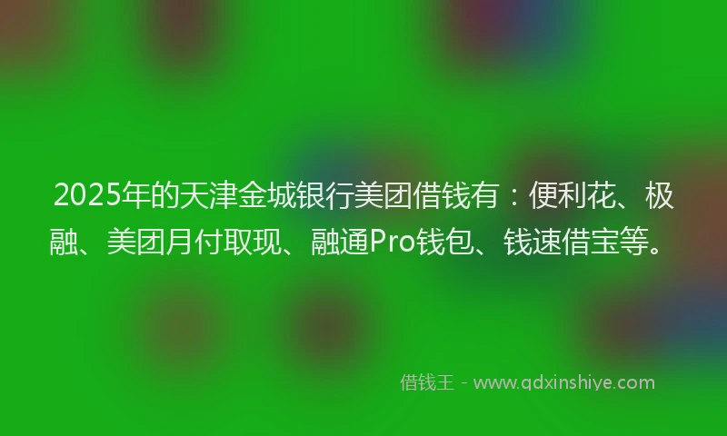 2025年的天津金城银行美团借钱有：便利花、极融、美团月付取现、融通Pro钱包、钱速借宝等。