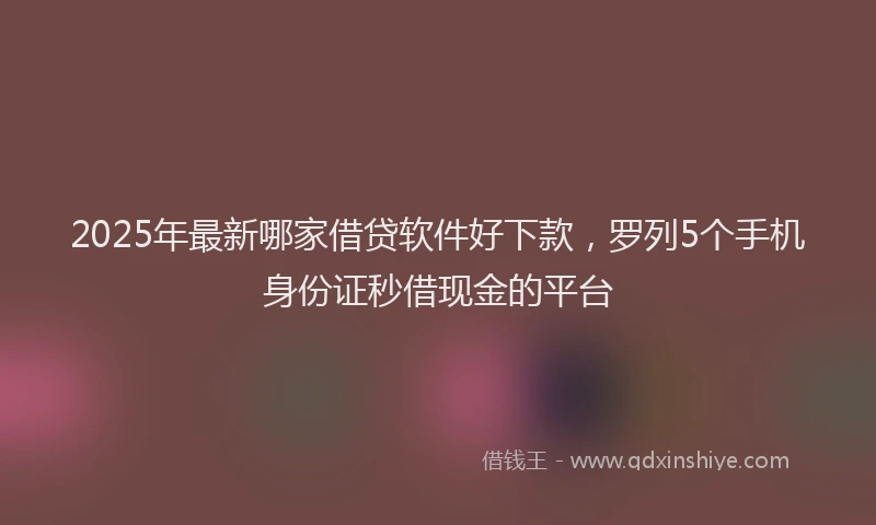 2025年最新哪家借贷软件好下款，罗列5个手机身份证秒借现金的平台