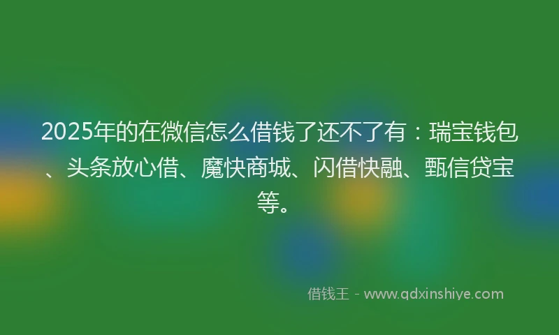 2025年的在微信怎么借钱了还不了有：瑞宝钱包、头条放心借、魔快商城、闪借快融、甄信贷宝等。