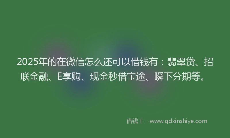 2025年的在微信怎么还可以借钱有：翡翠贷、招联金融、E享购、现金秒借宝途、瞬下分期等。