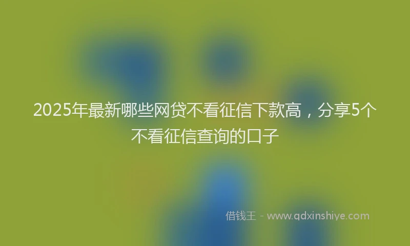 2025年最新哪些网贷不看征信下款高，分享5个不看征信查询的口子